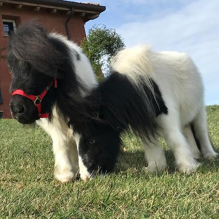 B&B Ca Bianca Dell'Abbadessa San Lazzaro di Savena Dış mekan fotoğraf