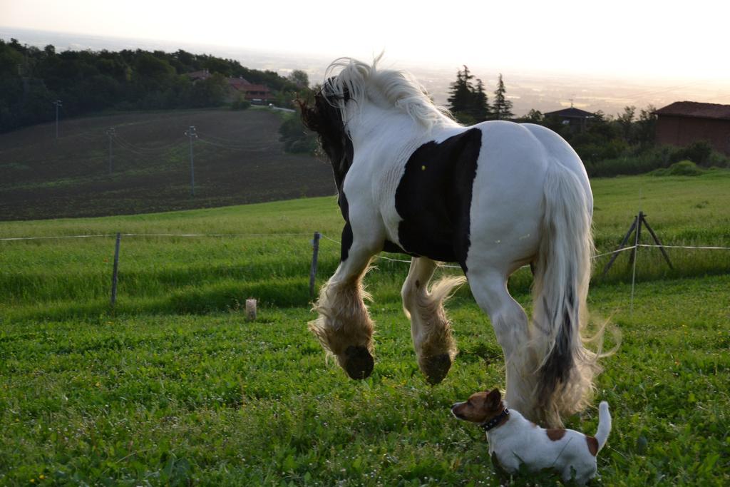 B&B Ca Bianca Dell'Abbadessa San Lazzaro di Savena Dış mekan fotoğraf