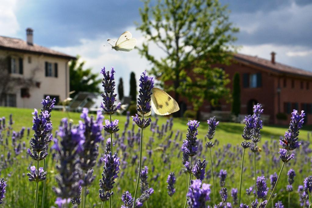 B&B Ca Bianca Dell'Abbadessa San Lazzaro di Savena Dış mekan fotoğraf