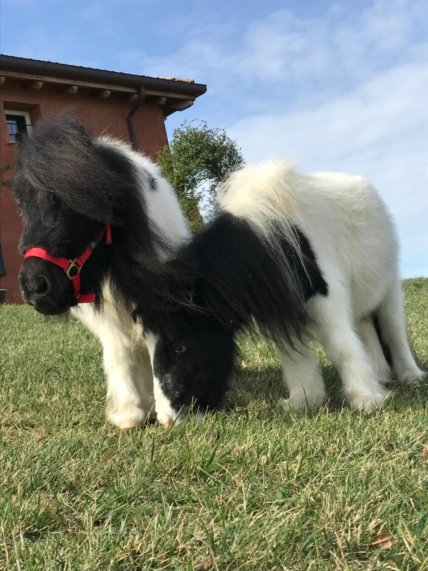 B&B Ca Bianca Dell'Abbadessa San Lazzaro di Savena Dış mekan fotoğraf