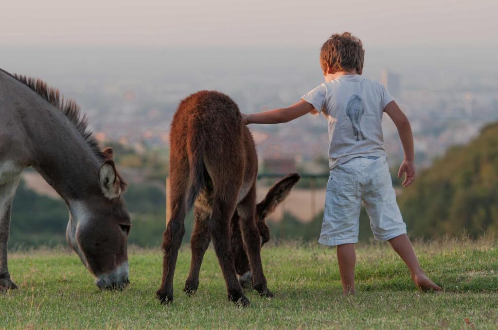 B&B Ca Bianca Dell'Abbadessa San Lazzaro di Savena Dış mekan fotoğraf