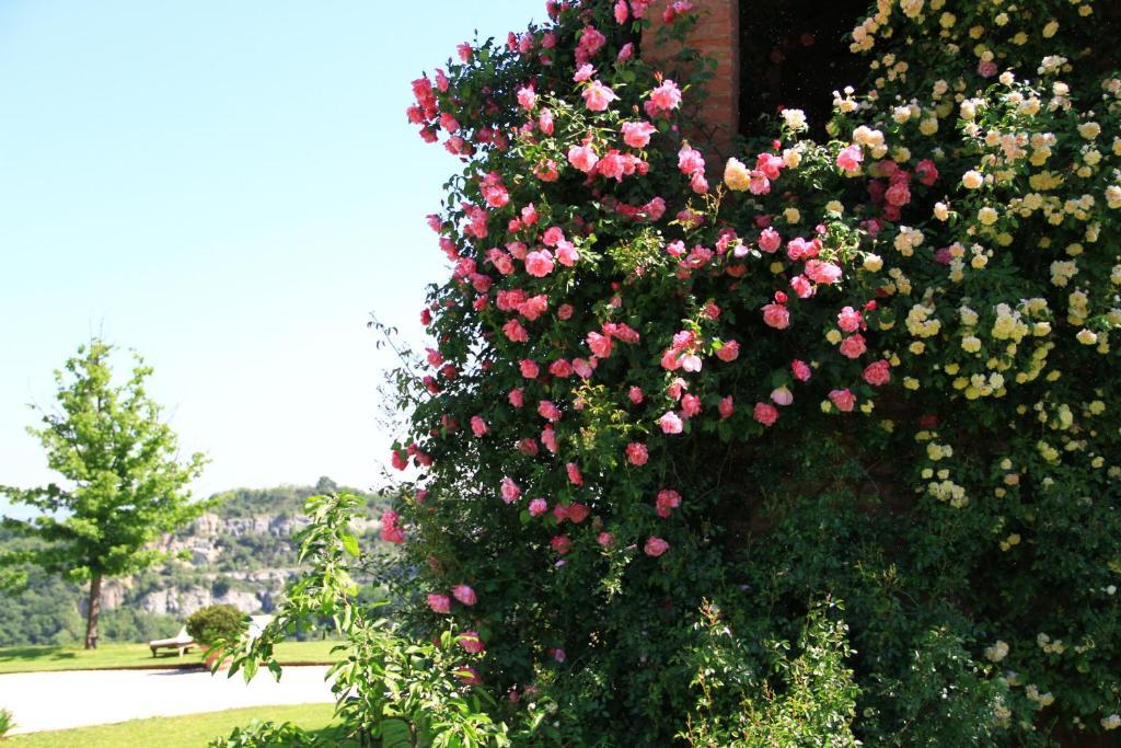 B&B Ca Bianca Dell'Abbadessa San Lazzaro di Savena Dış mekan fotoğraf