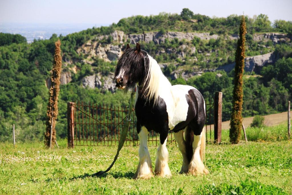 B&B Ca Bianca Dell'Abbadessa San Lazzaro di Savena Dış mekan fotoğraf