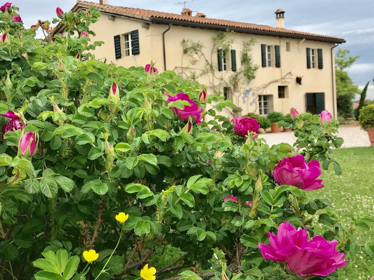 B&B Ca Bianca Dell'Abbadessa San Lazzaro di Savena Dış mekan fotoğraf